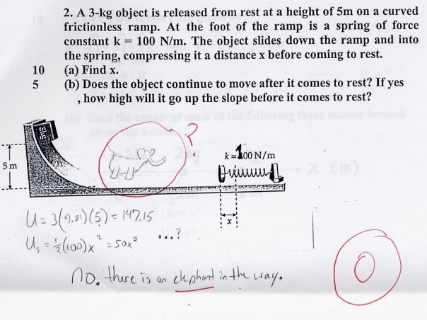 funny test answers. Funny:
